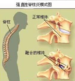 圖片24.jpg