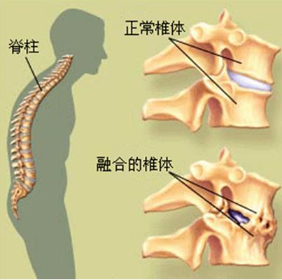 圖片27.jpg