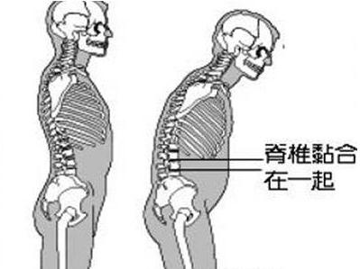 圖片33.jpg
