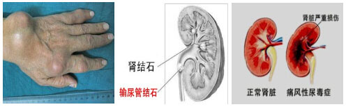 F(yng)(qing)ֱt(y)ԺʹL(fng)Ɍ(do)ʹL(fng)ʯIY(ji)ʯIK.jpg