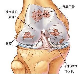 圖片3.jpg